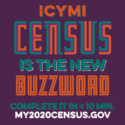 Why Does The Census Makes Cents For Southern Vermont?