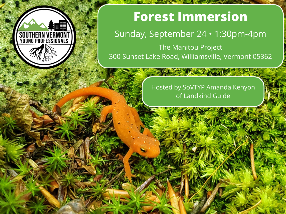 Forest Immersion MailChimp